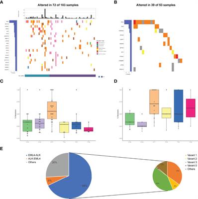 Genomic Features of Solid Tumor Patients Harboring ALK/ROS1/NTRK Gene Fusions